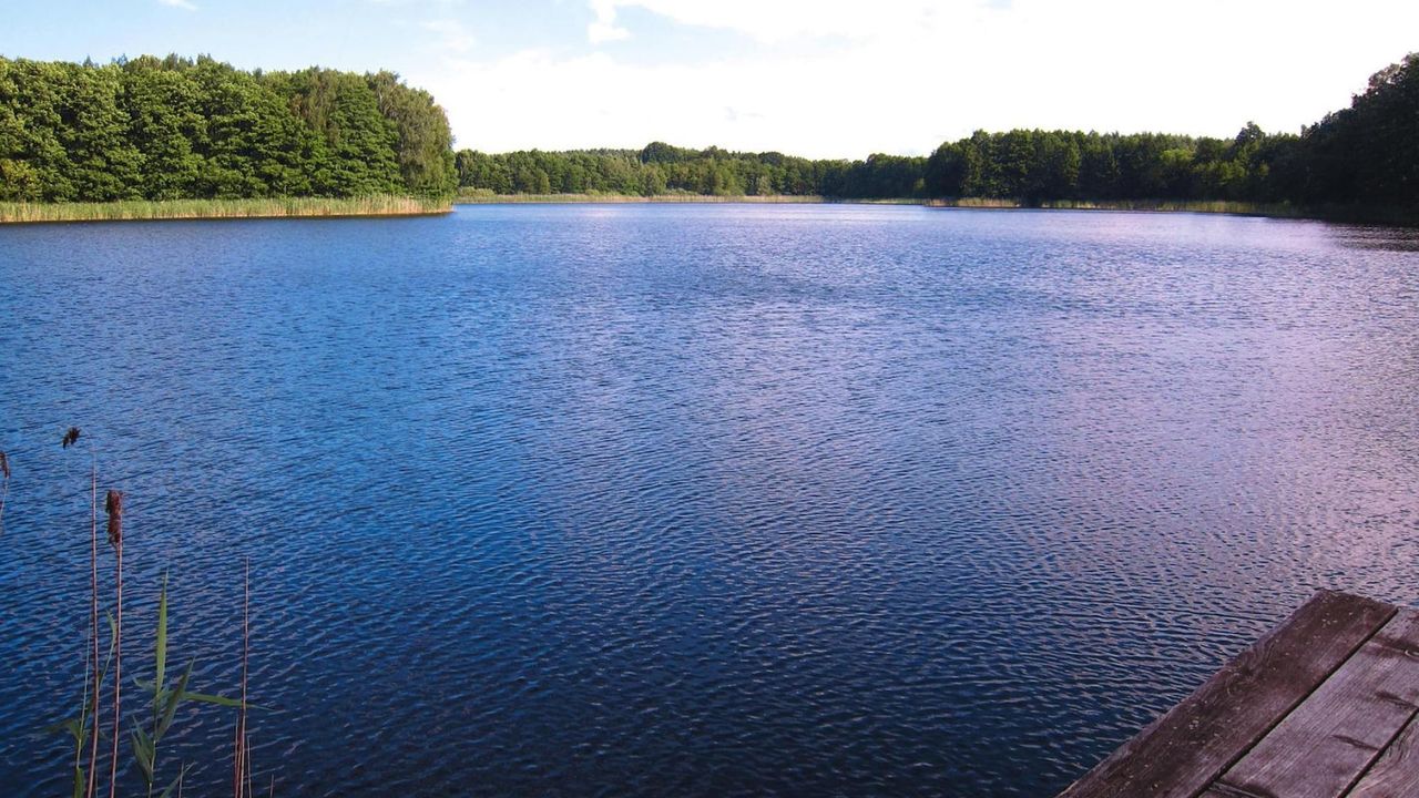 AreaSummer20KM AreaSummer20KM